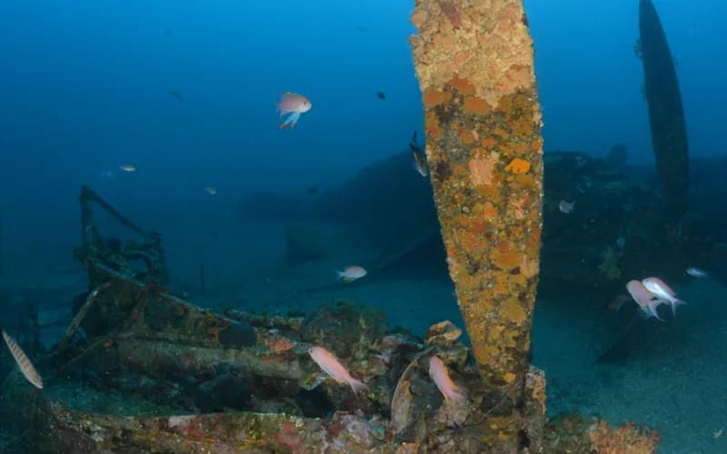 Épave du P-38 Lightning, témoignage du débarquement de Provence
