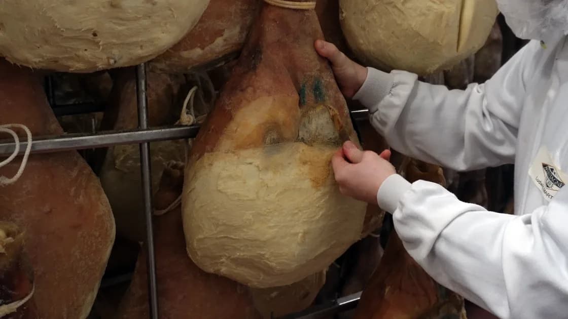 Contrôle qualité en atelier de salaison — environnement industriel agroalimentaire