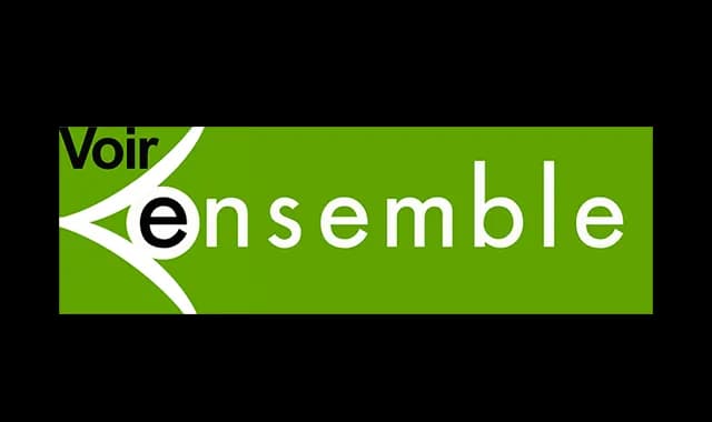 Simulation d'affections de la vision