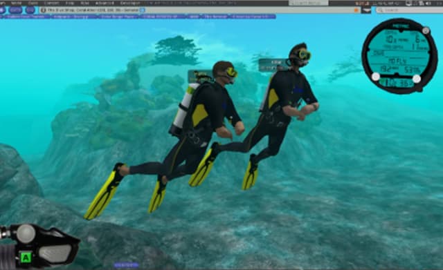 Plongeurs virtuels dans Second Life