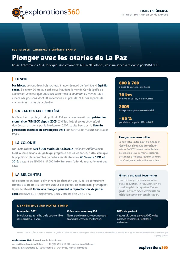 Fiche story A4 : plonger avec les otaries de La Paz